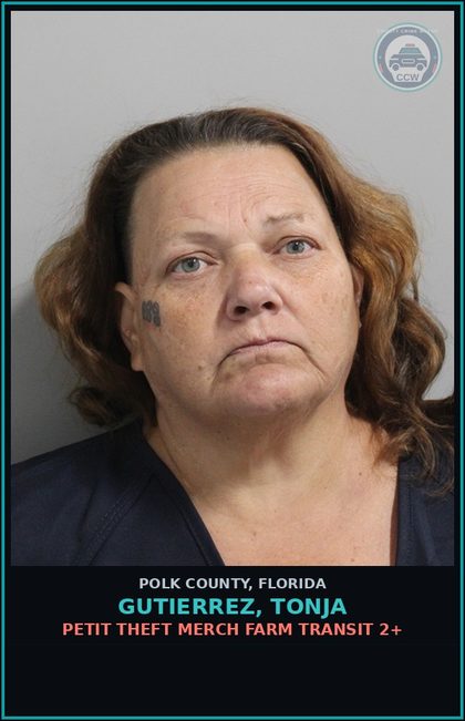 CCW arrest card for GUTIERREZ, TONJA in Polk County: Destroy Harvest Palmetto Berry WO