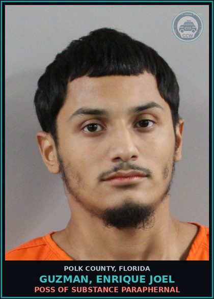 CCW arrest card for GUZMAN, ENRIQUE JOEL in Polk County: Canna POSSESS Not More Than 20