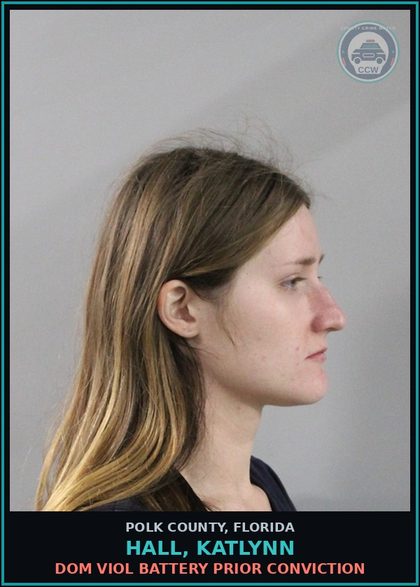 CCW arrest card for HALL, KATLYNN in Polk County: Dom Viol Battery Prior Conviction
