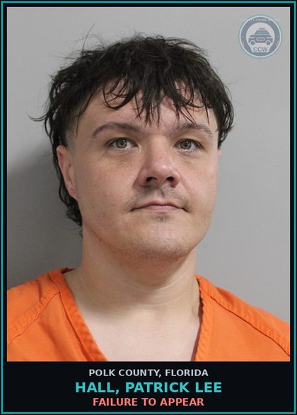 CCW arrest card for HALL, PATRICK LEE in Polk County: FAILURE TO APPEAR