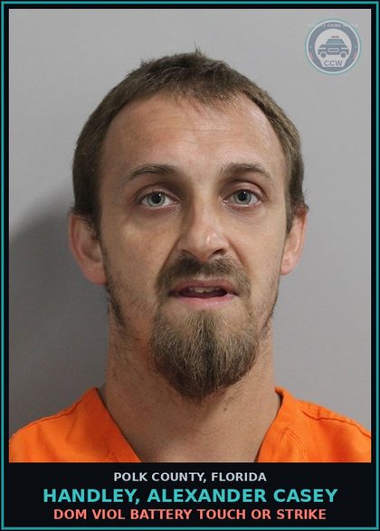 CCW arrest card for HANDLEY, ALEXANDER CASEY in Polk County: Dom Viol Battery Touch or Strike