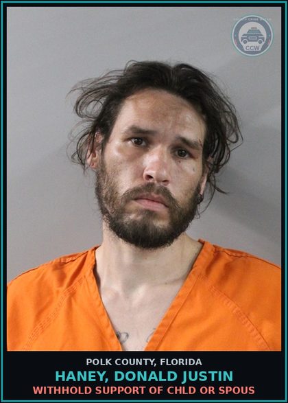 CCW arrest card for HANEY, DONALD JUSTIN in Polk County: Withhold Support of chld or Spous