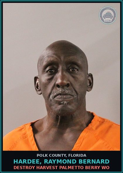 CCW arrest card for HARDEE, RAYMOND BERNARD in Polk County: Destroy Harvest Palmetto Berry WO