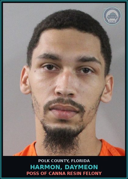 CCW arrest card for HARMON, DAYMEON in Polk County: Canna POSSESS Not More Than 20