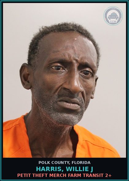 CCW arrest card for HARRIS, WILLIE J in Polk County: Petit Theft Merch Farm Transit 2+