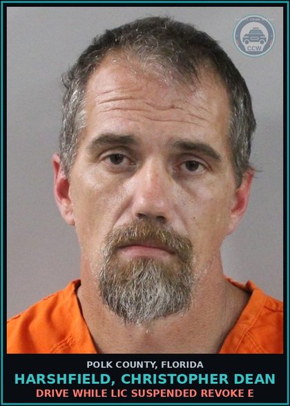 CCW arrest card for HARSHFIELD, CHRISTOPHER DEAN in Polk County: Drive While Lic Suspended Revoke E