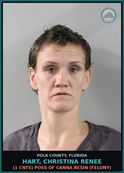 CCW arrest card for HART, CHRISTINA RENEE in Polk County: POSS OF DRUG PARAPHERNAL