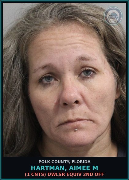 CCW arrest card for HARTMAN, AIMEE M in Polk County: (1 cnts) DWLSR EQUIV 2ND OFF