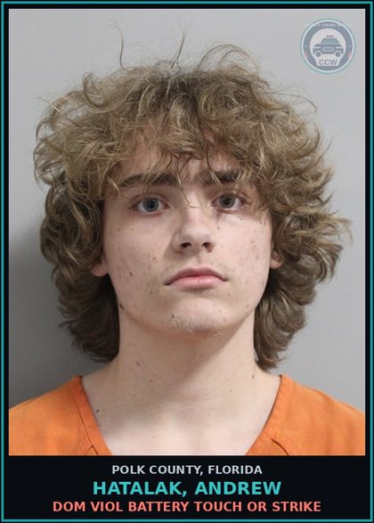 CCW arrest card for HATALAK, ANDREW in Polk County: Dom Viol Battery Touch or Strike