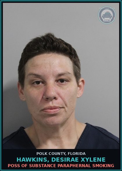 CCW arrest card for HAWKINS, DESIRAE XYLENE in Polk County: POSS OF DRUG PARAPHERNAL SMOKING
