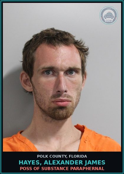 CCW arrest card for HAYES, ALEXANDER JAMES in Polk County: POSS OF DRUG PARAPHERNAL