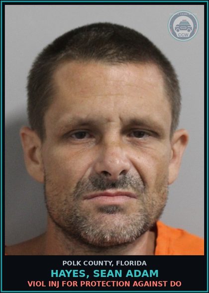 CCW arrest card for HAYES, SEAN ADAM in Polk County: Viol Inj for Protection against Do