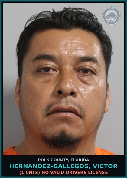 CCW arrest card for HERNANDEZ-GALLEGOS, VICTOR in Polk County: (1 cnts) No Valid Drivers License