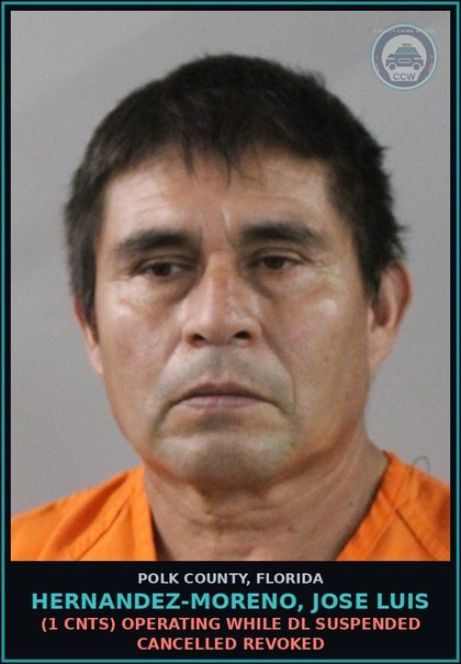 CCW arrest card for HERNANDEZ-MORENO, JOSE LUIS in Polk County: (1 cnts) OPERATING WHILE DL SUSPENDED CANCELLED REVOKED