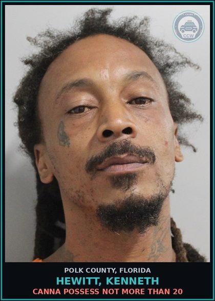 CCW arrest card for HEWITT, KENNETH in Polk County: Canna POSSESS Not More Than 20