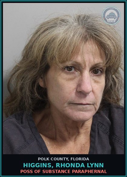 CCW arrest card for HIGGINS, RHONDA LYNN in Polk County: POSS OF DRUG PARAPHERNAL