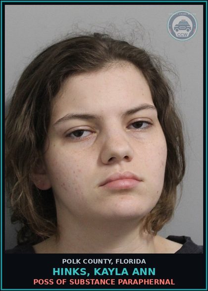 CCW arrest card for HINKS, KAYLA ANN in Polk County: Resist Officer without Violence