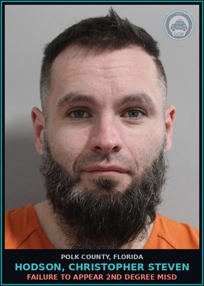 CCW arrest card for HODSON, CHRISTOPHER STEVEN in Polk County: FAILURE TO APPEAR 2nd Degree Misd