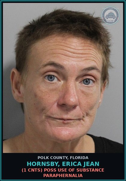CCW arrest card for HORNSBY, ERICA JEAN in Polk County: (1 cnts) POSS USE OF DRUG PARAPHERNALIA