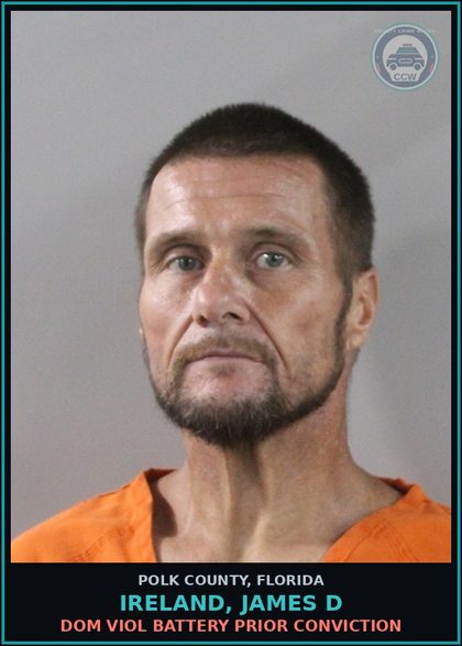CCW arrest card for IRELAND, JAMES D in Polk County: Dom Viol Battery Prior Conviction