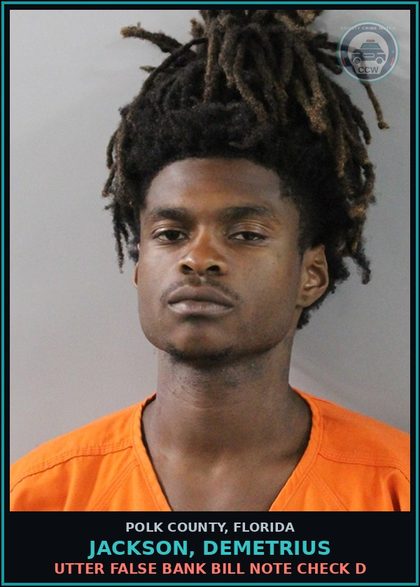 CCW arrest card for JACKSON, DEMETRIUS in Polk County: Utter False Bank Bill Note Check D