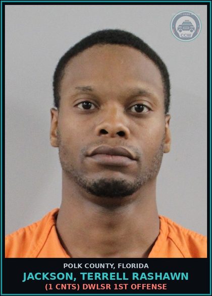 CCW arrest card for JACKSON, TERRELL RASHAWN in Polk County: (1 cnts) DWLSR 1st Offense