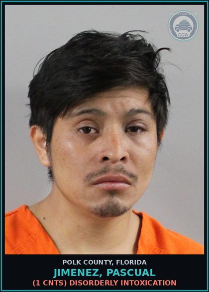 CCW arrest card for JIMENEZ, PASCUAL in Polk County: (1 cnts) DISORDERLY INTOXICATION
