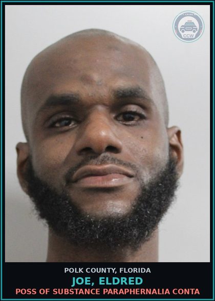 CCW arrest card for JOE, ELDRED in Polk County: Canna POSSESS Not More Than 20