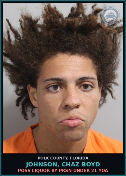 CCW arrest card for JOHNSON, CHAZ BOYD in Polk County: Poss Liquor by Prsn Under 21 YOA
