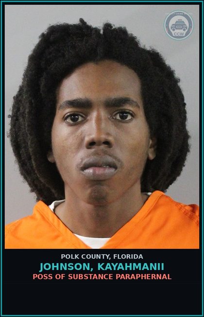 CCW arrest card for JOHNSON, KAYAHMANII in Polk County: Canna POSSESS Not More Than 20