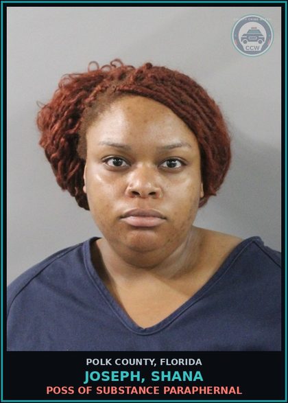 CCW arrest card for JOSEPH, SHANA in Polk County: Canna POSSESS Not More Than 20