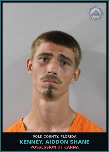 CCW arrest card for KENNEY, AIDDON SHANE in Polk County: POSSESSION OF Canna