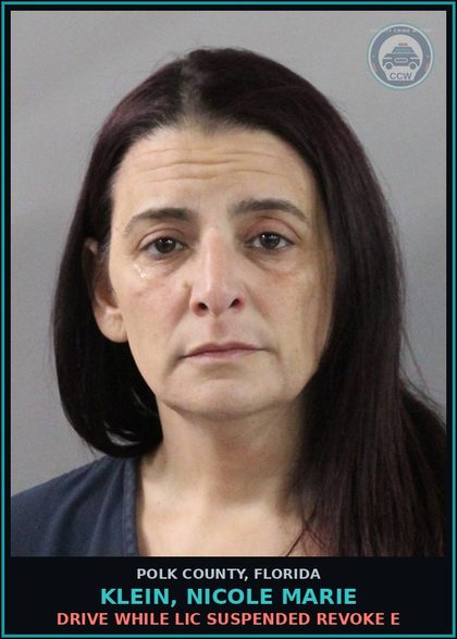 CCW arrest card for KLEIN, NICOLE MARIE in Polk County: Drive While Lic Suspended Revoke E