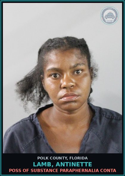 CCW arrest card for LAMB, ANTINETTE in Polk County: POSS OF DRUG PARAPHERNALIA CONTA