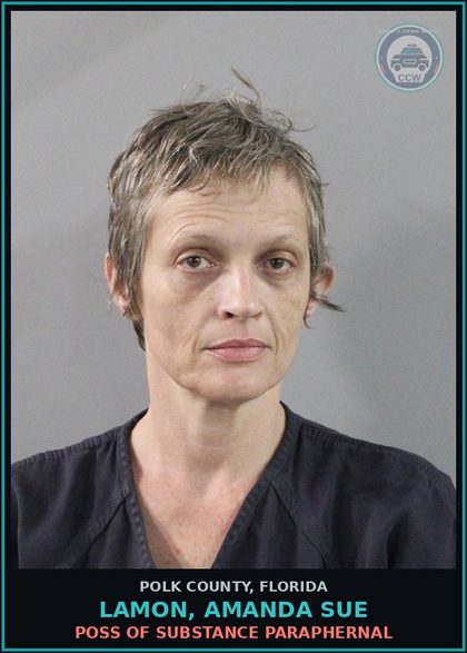CCW arrest card for LAMON, AMANDA SUE in Polk County: POSS OF DRUG PARAPHERNAL