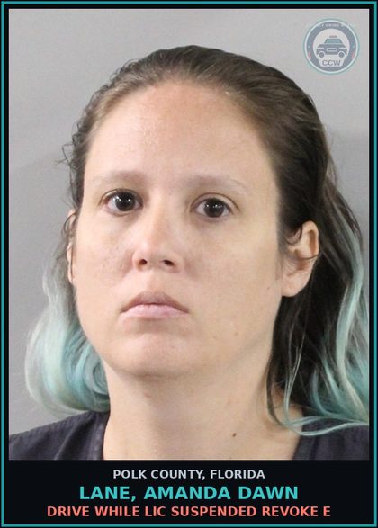 CCW arrest card for LANE, AMANDA DAWN in Polk County: Drive While Lic Suspended Revoke E