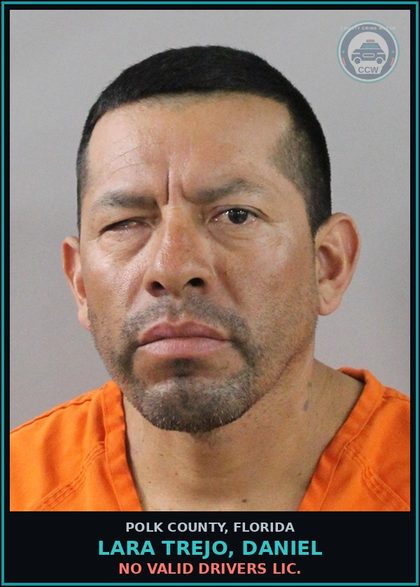 CCW arrest card for LARA TREJO, DANIEL in Polk County: No Valid Drivers Lic.