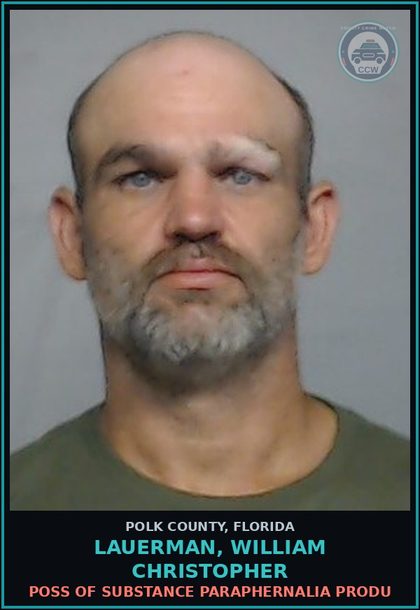 CCW arrest card for LAUERMAN, WILLIAM CHRISTOPHER in Polk County: Information Non Criminal Offense