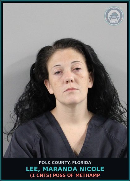 CCW arrest card for LEE, MARANDA NICOLE in Polk County: Resist Officer without Violence