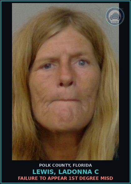 CCW arrest card for LEWIS, LADONNA C in Polk County: FAILURE TO APPEAR 1st Degree Misd