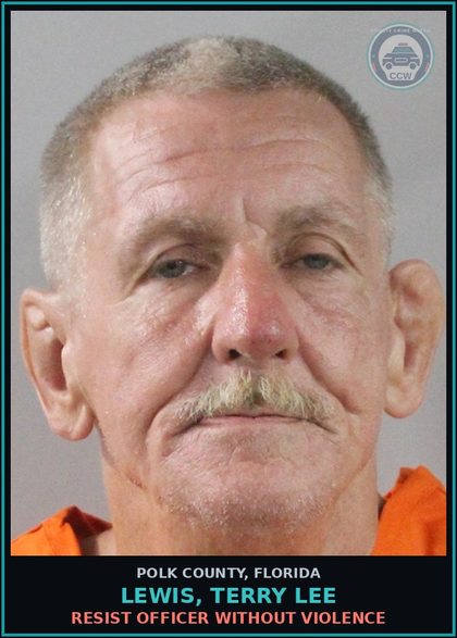 CCW arrest card for LEWIS, TERRY LEE in Polk County: Resist Officer without Violence