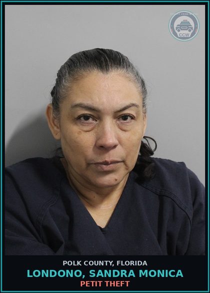 CCW arrest card for LONDONO, SANDRA MONICA in Polk County: Petit Theft