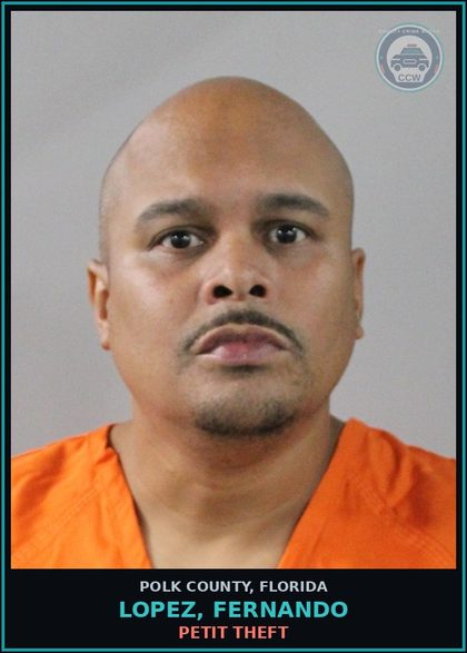 CCW arrest card for LOPEZ, FERNANDO in Polk County: Petit Theft
