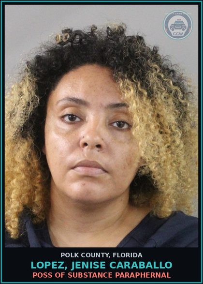 CCW arrest card for LOPEZ, JENISE CARABALLO in Polk County: Canna POSSESS Not More Than 20