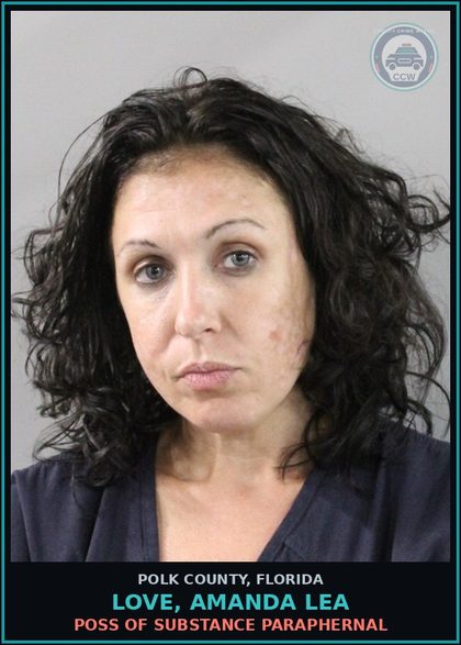 CCW arrest card for LOVE, AMANDA LEA in Polk County: Attempted Tampering With Evidence