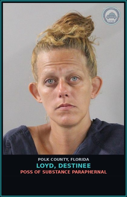 CCW arrest card for LOYD, DESTINEE in Polk County: POSS OF DRUG PARAPHERNAL