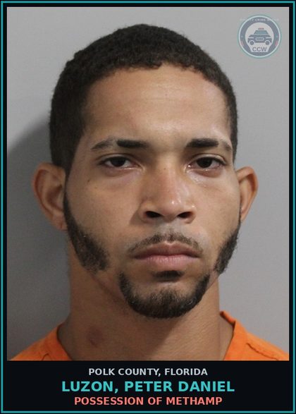 CCW arrest card for LUZON, PETER DANIEL in Polk County: Poss. Use Narcotic Paraphernalia