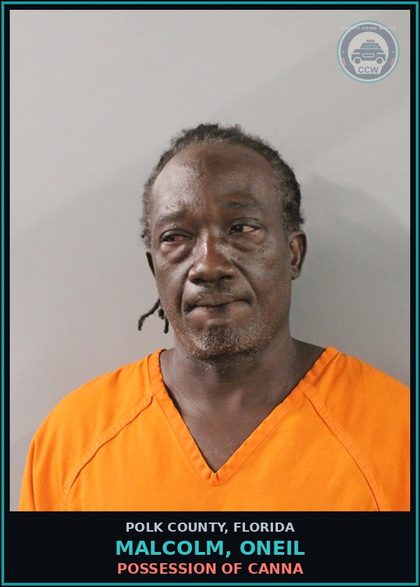 CCW arrest card for MALCOLM, ONEIL in Polk County: POSSESSION OF Canna