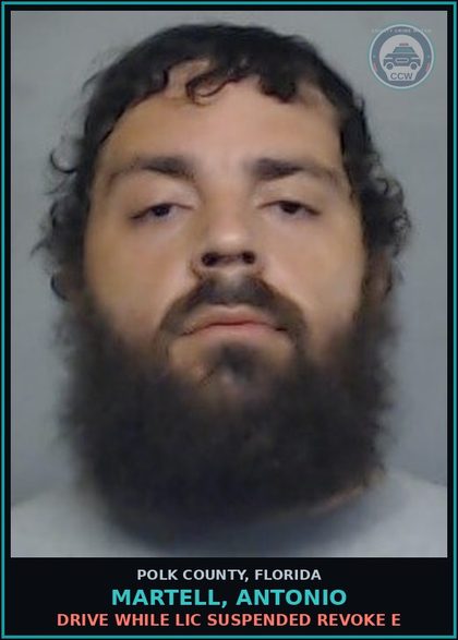 CCW arrest card for MARTELL, ANTONIO in Polk County: Drive While Lic Suspended Revoke E