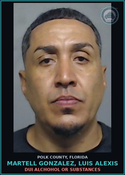 CCW arrest card for MARTELL GONZALEZ, LUIS ALEXIS in Polk County: Information Non Criminal Offense